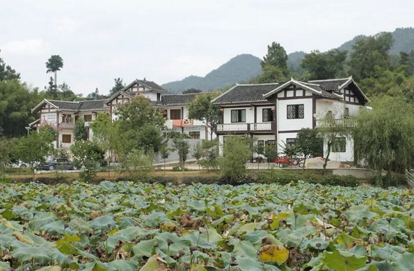 回歸鄉村，方知幸福 【輕鋼別墅】(圖7)