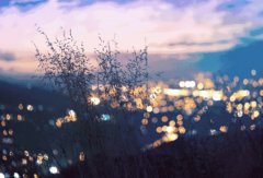 輕鋼別墅: 遠離城市喧囂，獨享一方寧靜