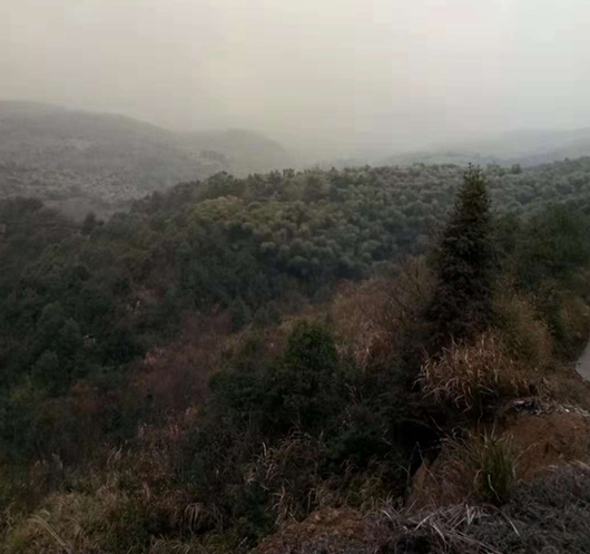 有故鄉(xiāng)者擁有幸福 ，你在他鄉(xiāng)還好嗎？(圖2)