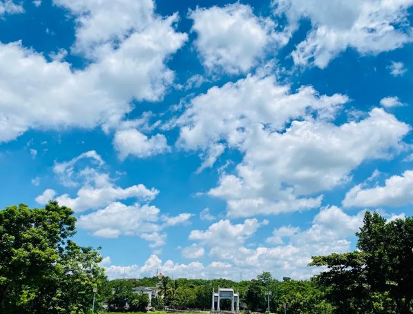 海南：放寬社會資本進入農(nóng)村的限制！中國大農(nóng)場時代來臨？(圖1)